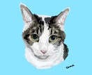 あなたの猫さんのイラストをかきます ＊お名前いりのすてきな似顔絵＊ イメージ6