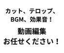 動画編集をさせていただきます 短い動画から長尺まで！カット、テロップ、BGM、効果音など！ イメージ1