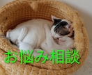 健康●子育て●恋愛など人生のお悩みお聞きします 現役看護師のお悩み相談　気楽な気持ちでどうぞ イメージ1