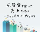 広告費を削って売上を作るキャッチコピー作ります 世界にひとつだけ、あなたの為に作成します イメージ1