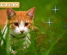 動画編集を主に、制作全般お受けいたします 人目を引く興味を持ってもらう動画作りを心がけています イメージ6