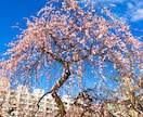 休日にお出かけしたときに撮影した写真を販売します。 イメージ2