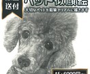 写真を元に、ペットちゃんを鉛筆で細密デッサンします リアル鉛筆画・ペットアート・原画郵送・インテリア・贈り物 イメージ1