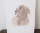 ペットの似顔絵描きます わんちゃんねこちゃん、またその他のペットの似顔絵を描きます イメージ7