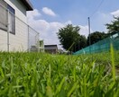 貴方のお話し聞きます 心にくすぶるモヤモヤぶちまけよう！ イメージ1