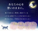 1分からでもOK、モヤモヤを優しくお聞きします ちょっと寂しい夜も、雑談から本音まで イメージ4