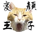 あなたのペットの写真でLINEスタンプ作ります 送っていただいた日常の写真をもとに12個制作！ イメージ9