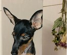 ペットや大切な人へのプレゼントに♡アート描いてます お洒落なアートを飾りませんか？ イメージ5