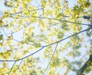 心のモヤモヤをお聞きします 誰にも話せない心のモヤモヤ、吐き出しませんか？ イメージ2