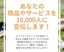 あなたの商品やサービスを10,000人に宣伝します 商品やサービスを多くの人に知ってもらうお手伝いをいたします！ イメージ1