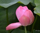 何故、今　目の前の問題が起こっているのか解明します こんなに頑張ってるのに　何故か報われないあなたへ イメージ1