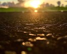 ご依頼に応じた写真撮影＋編集をします 安く!写真を使ってデザインしたい時!うまく決まらない時に! イメージ1