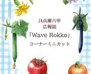 アナログ水彩でハガキサイズミニカット描きます 依頼を迷っている方・プロの肉筆画がほしい方のお試し用です。 イメージ7