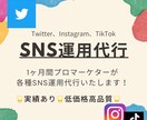 Twitterインスタ等のSNS運用代行いたします Twitterが特に強いです。SNSマーケティングします。 イメージ1