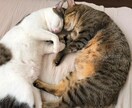 5分OK✨モヤモヤを手放すお手伝いいたします 今すぐ話したい❗体と心の痛み・不調に寄り添うセラピスト イメージ2