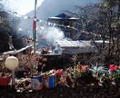 ２件まで追加料金無く現状の意味をお伝えいたします 霊感、守護神様、トート、ハワイアン、大自然の神々とコンタクト イメージ1