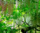 写真編集•加工します 家族の思い出の写真をより美しく！ イメージ4