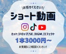 1本3000円〜 ショート動画作成します ビジネス/エンタメ/美容/Vlog何でもOK！ イメージ1