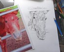 写実的な鉛筆画を描きます 鉛筆画の線が見えるタッチの鉛筆画を制作します イメージ2