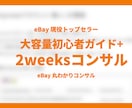 ebay 初心者向け 2週間みっちりコンサルします 大容量スタートアップガイド＋ショップ立ち上げサポート付き イメージ1