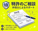 弁理士が特許のご相談を担当いたします 特許に関するお困りごとの打開策・対応方針が得られる！ イメージ1