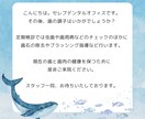 医療関係のリコールハガキ・パンフレット作成します 歯科・医科向けの販促物全般おまかせください！ イメージ3