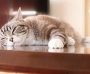 心の吐け口になります 吐き出したいもの、全部話してみませんか？ イメージ1