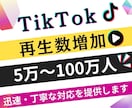 TikTokの動画再生数を増加します TikTok動画宣伝します！➕50000再生回数増加確実！ イメージ1