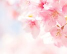 モニター特別価格！☆鳥トランプでイエスノー占います ～6/15まで☆ご質問２つ可愛い鳥トランプでイエスノー見ます イメージ4