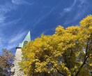 海外在住の方、日本語でおしゃべりします 日本語で思いっきりおしゃべりしませんか？ イメージ3