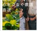 オシャレでスマホ対応！STUDIOでHP制作します ココナラでの実績確保のため3件限定価格になります。 イメージ6