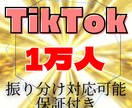 TikTok1万人フォロワー増やします ✅副業に超おすすめ!収益化条件の1つ達成可能になります! イメージ1