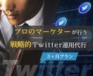 プロマーケターが3ヶ月Twitter運用代行します フォロワーアップだけでなく集客・売り上げに繋げたい方向けです イメージ1