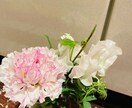 ヤングケアラーについてお話聴きます 家族の介護で困っている方！お待ちしています。 イメージ1