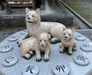 8月29日★奇跡の神社へ代理参拝いたします 【霊犬】子宝、縁結び、良縁など【能登ひめ鏡】歴史は千年以上 イメージ2