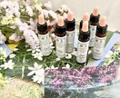 ネガティブな感情を癒すレメディをお選びします 7種類までの必要なレメディが穏やかに感情バランスを整えます イメージ1