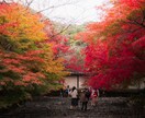 京都で“映える写真”撮影します 祇園・伏見稲荷・嵐山・清水寺など イメージ3