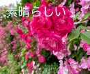 あなたのハッピーをお聴きします あなたの大切な声で、心の嬉しい！を伝えてください。 イメージ9