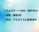 印象を整えるインスタ＋2000フォロワー追加します 内容が届く前にスルーされないための、印象づくりの数字調整 イメージ4