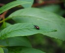 道標になる事を提供します 寄り添いお話を伺い、明確にお伝えします イメージ4