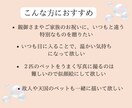 誇張し過ぎない♪心温まる手描き似顔絵をお描きします 還暦 古希 米寿/ご家族 ペットの記念に心温まるギフトを イメージ4
