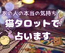 タロットであなたの恋と気になる相手の想いを占います 初心者歓迎✴︎不安な気持ちも安心に変える、猫タロット鑑定 イメージ3