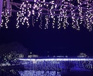 あなたの気持ちを大切にゆっくりお話お聞きします 心が楽になりますように(* u.u)安心して話せる場所です イメージ10