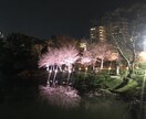 あなたの心の悩みに寄り添います 日々のモヤモヤを前向きに一緒に解決しましょう！ イメージ1