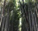 日本語<->韓国語間の翻訳致します 韓国で生活・勉強した経験があるから信じられる翻訳サービス！ イメージ4