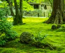 現役看護師が優しく愚痴を聞きます もう限界なあなたへ寄り添います。 イメージ1