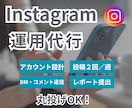 1ヶ月間、Instagramの運用代行致します 丸投げOK！あなたのお店、認知度UPさせます！ イメージ1