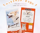 うちの子チェキ風名刺★セミオーダーで作ります イベント・オフ会で大活躍！両面印刷・100枚付き★ イメージ5