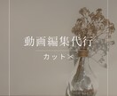 動画のカット編集承ります 動画を切り抜き分かりやすい動画にします！ イメージ1