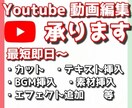 youtubeの動画編集承ります youtubeに動画を投稿したい方お手伝いします！ イメージ1